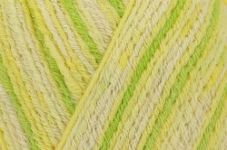 Regia Cotton 4 ply 2424