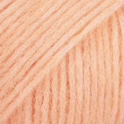 sweet apricot