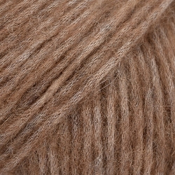 acorn