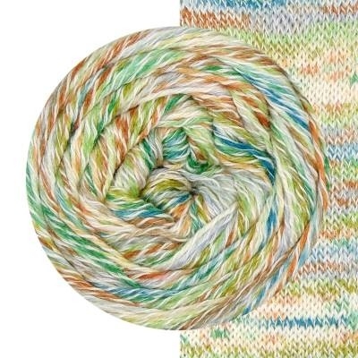 Evolution Silk Sock cactus