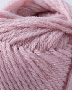 Partner 3.5 rose