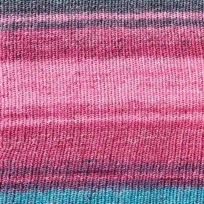 Evolution sock wildberry