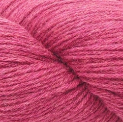 pivoine